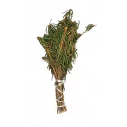 Травяной веник - Багульник в упаковке (Красота Бани)