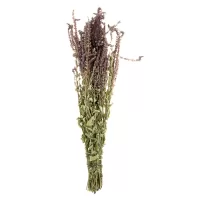 Травяной веник - Шалфей в упаковке (Красота Бани)