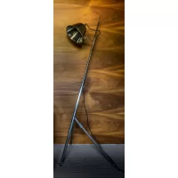 Напольная лампа-торшер FL 51519 (Covali)