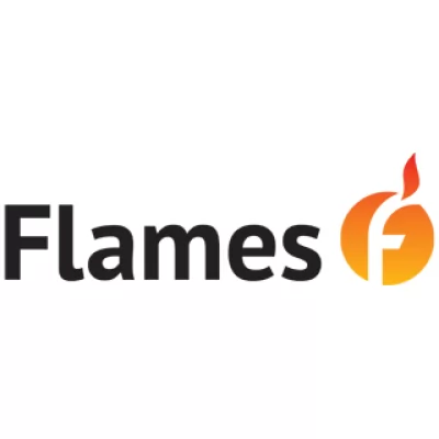 Цены на котлы Flames стали ниже с 27.07.2022